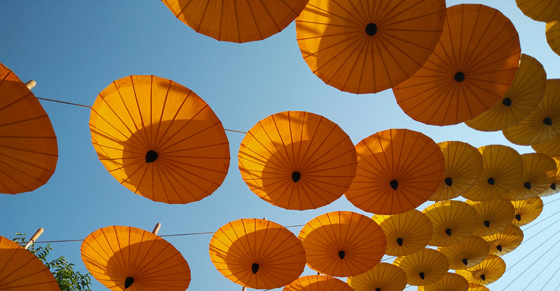 Umbrellas in Chiang Mai