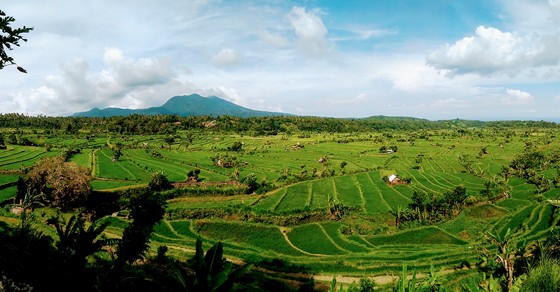 Bali