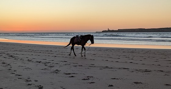 Essaouira, Morocco