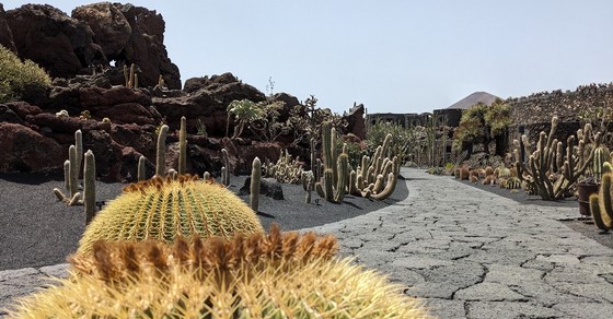 Lanzarote