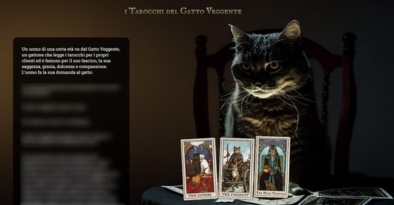 The clairvoyant cat